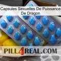 Dragon Power Sexual Capsules viagra2
